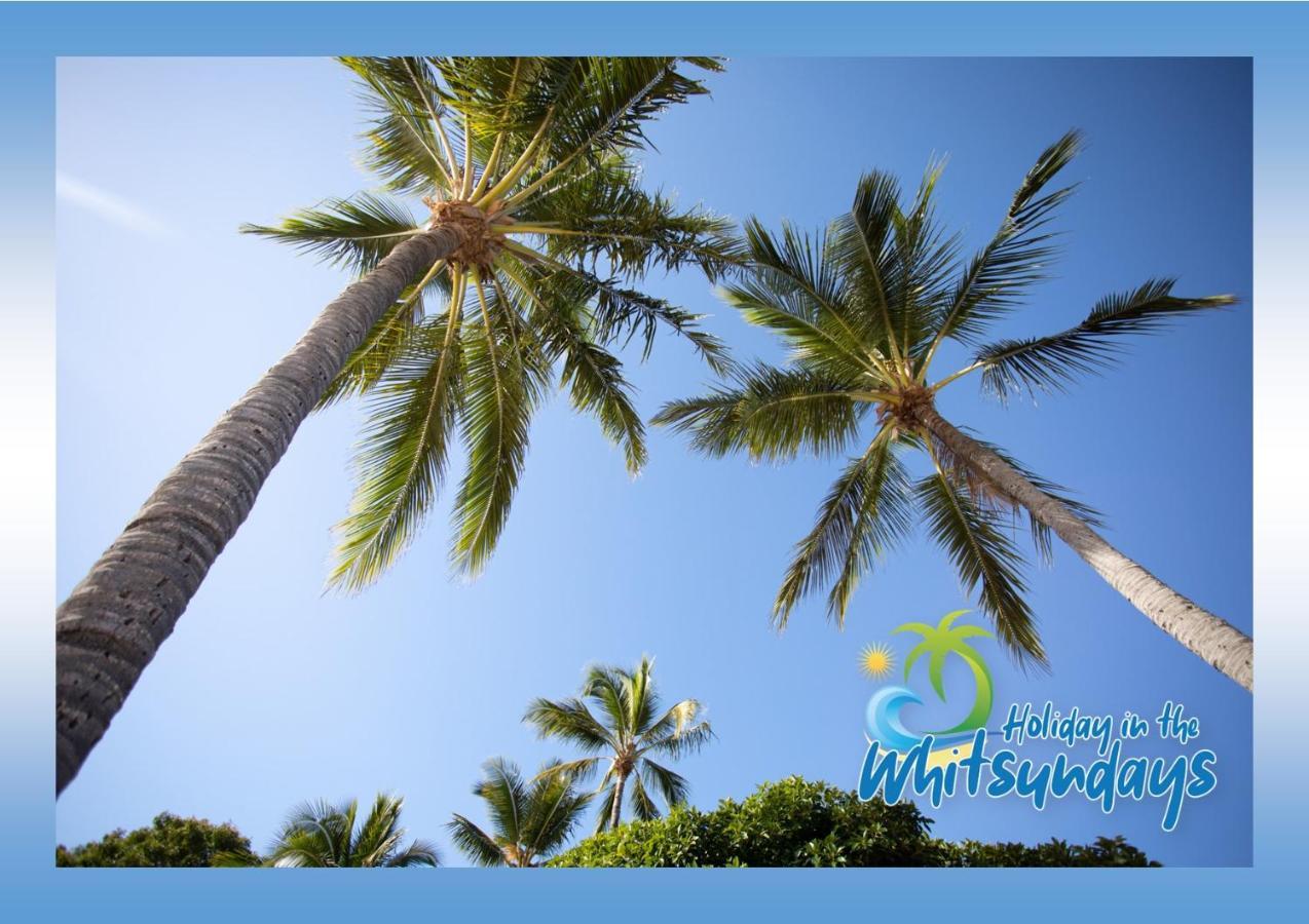 Ocean View 16A Studio Pool & Spa Wi-Fi 埃尔利海滩 外观 照片